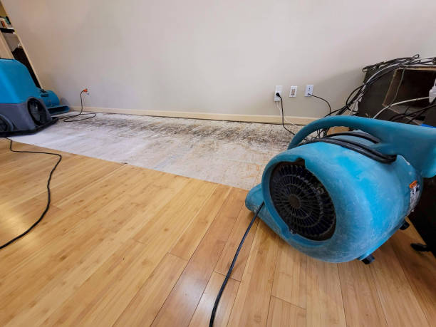 Reliable Basement Flood Cleanup contractor in Shawnee, KS by Hirex Water Damage