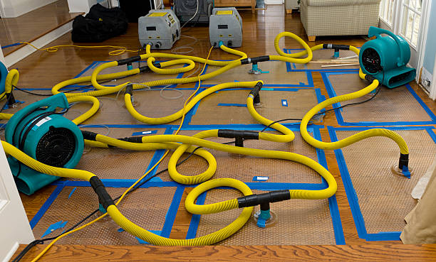 Professional Basement Flood Cleanup technician working in Shawnee, KS
